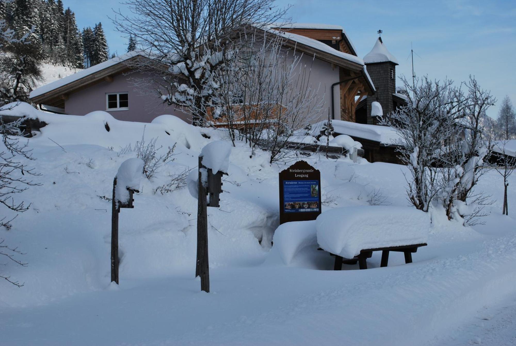 Appartement Haus Pichler レオガング エクステリア 写真